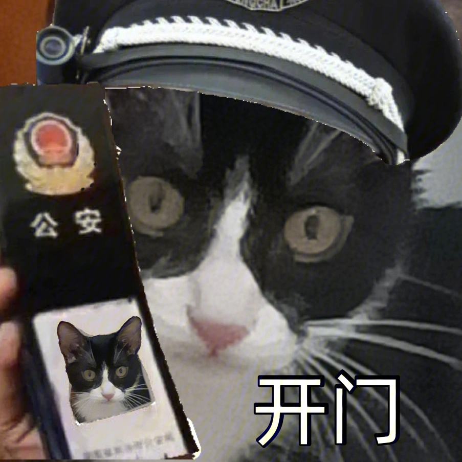 出警猫表情包图片