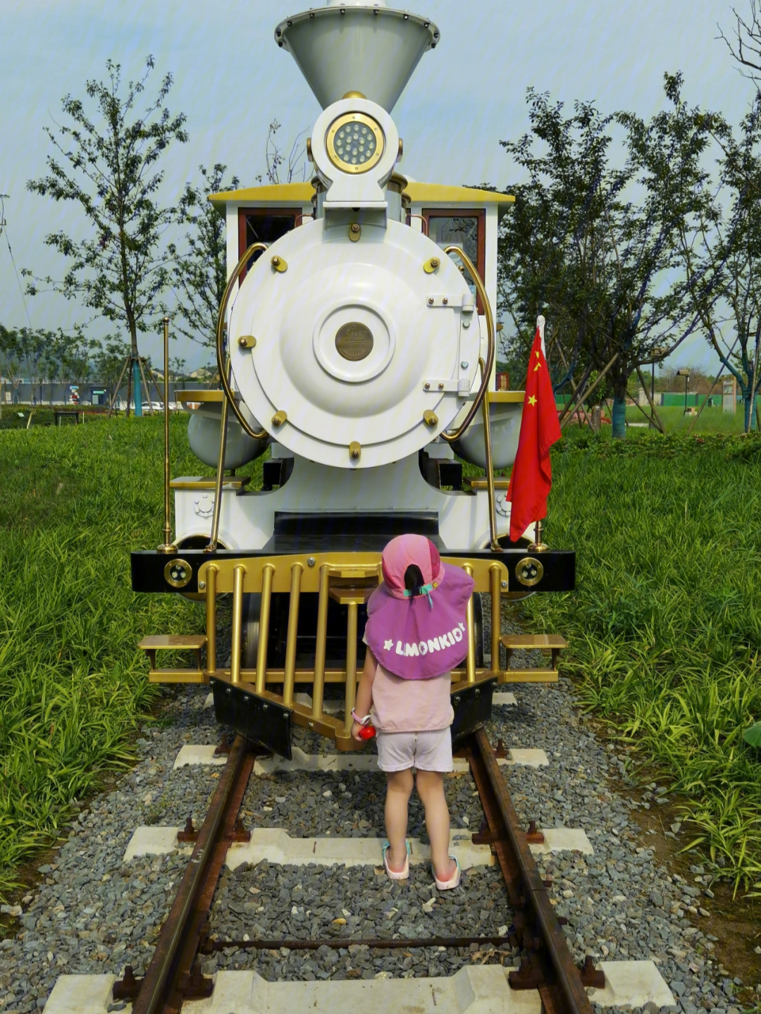 阳陂湖小火车图片