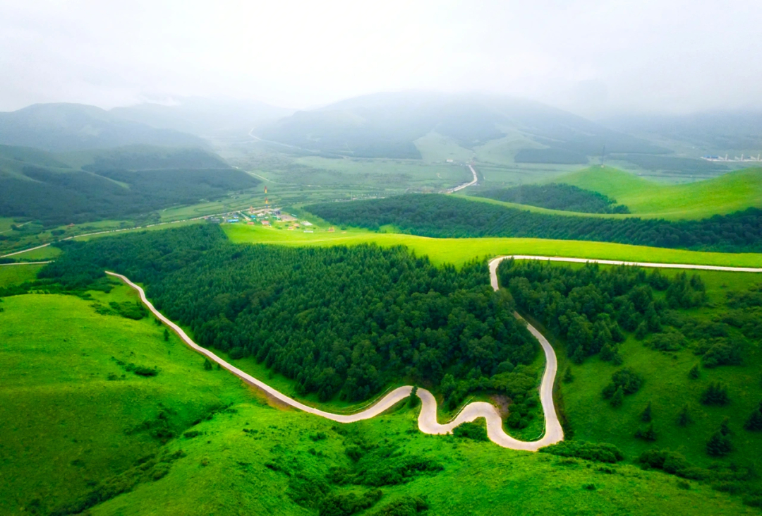 千松坝国家森林公园图片