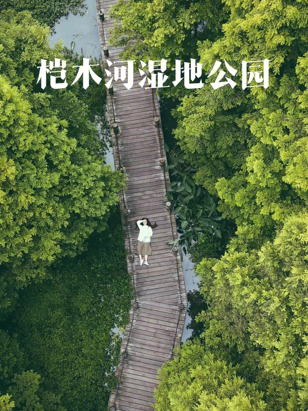 桤木河湿地公园门票图片