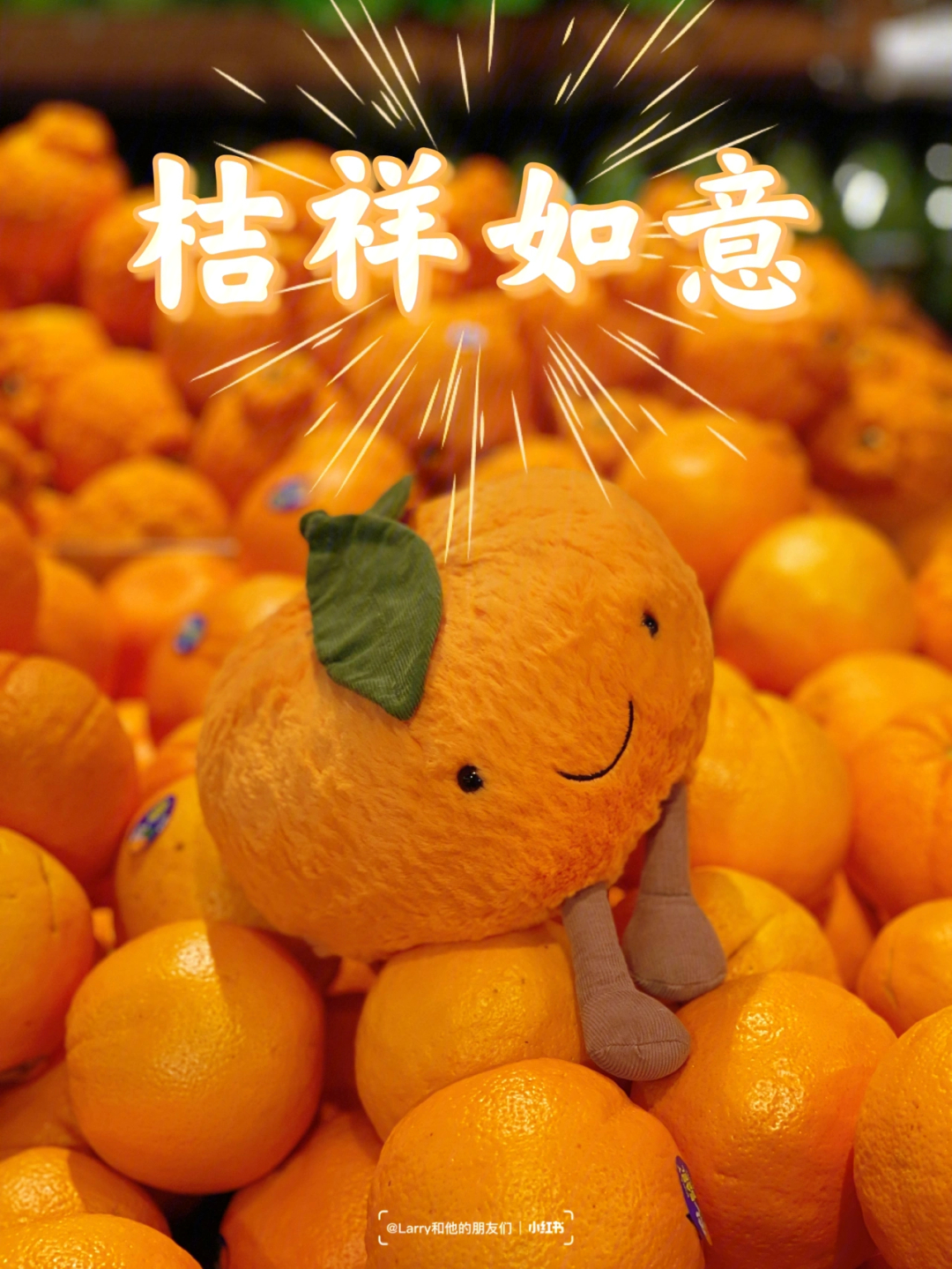 橘势大好大橘为重图片