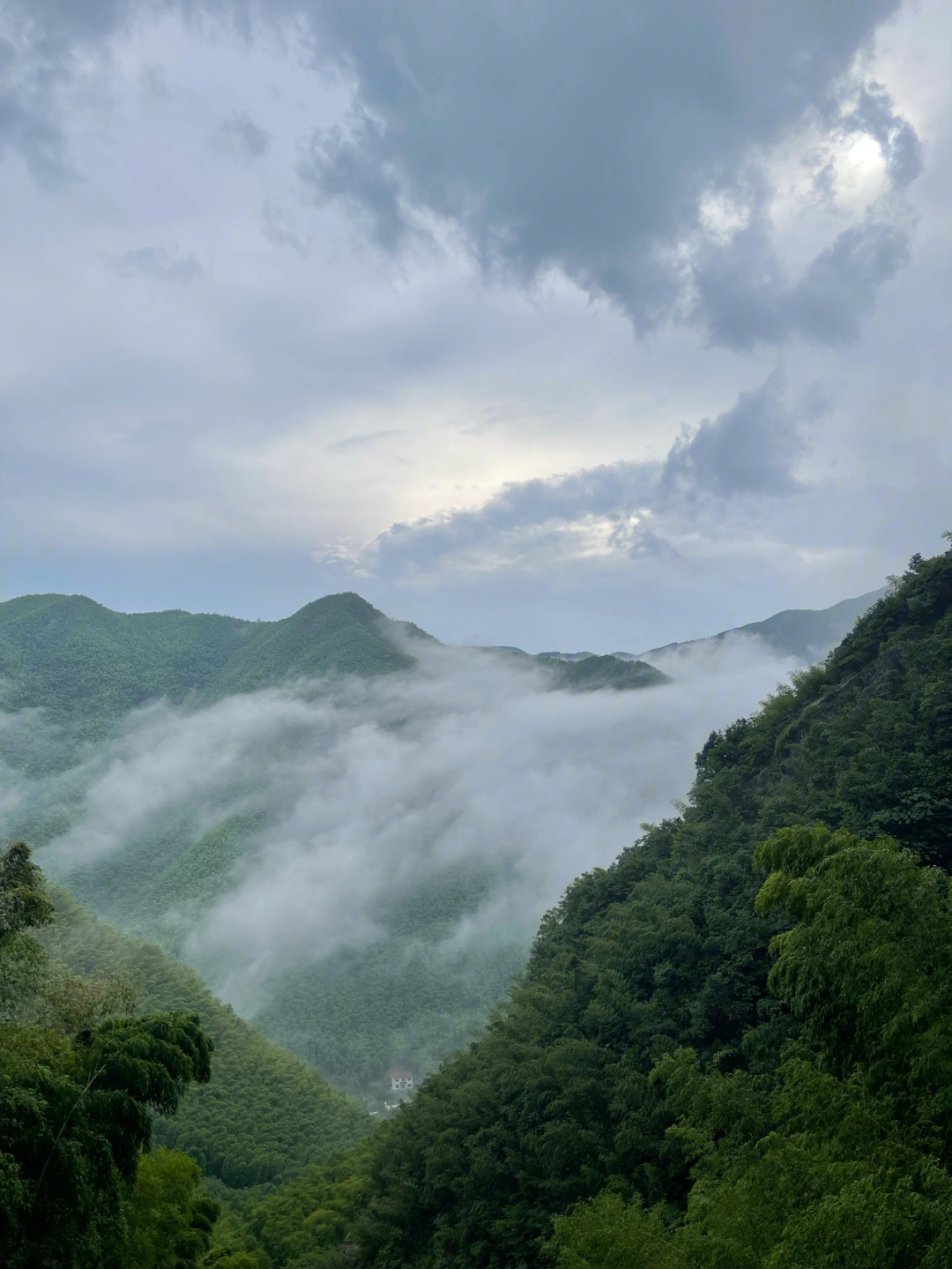 湖州龙王山