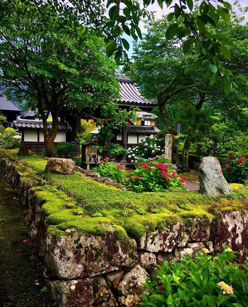 苔藓庭院苔藓景观