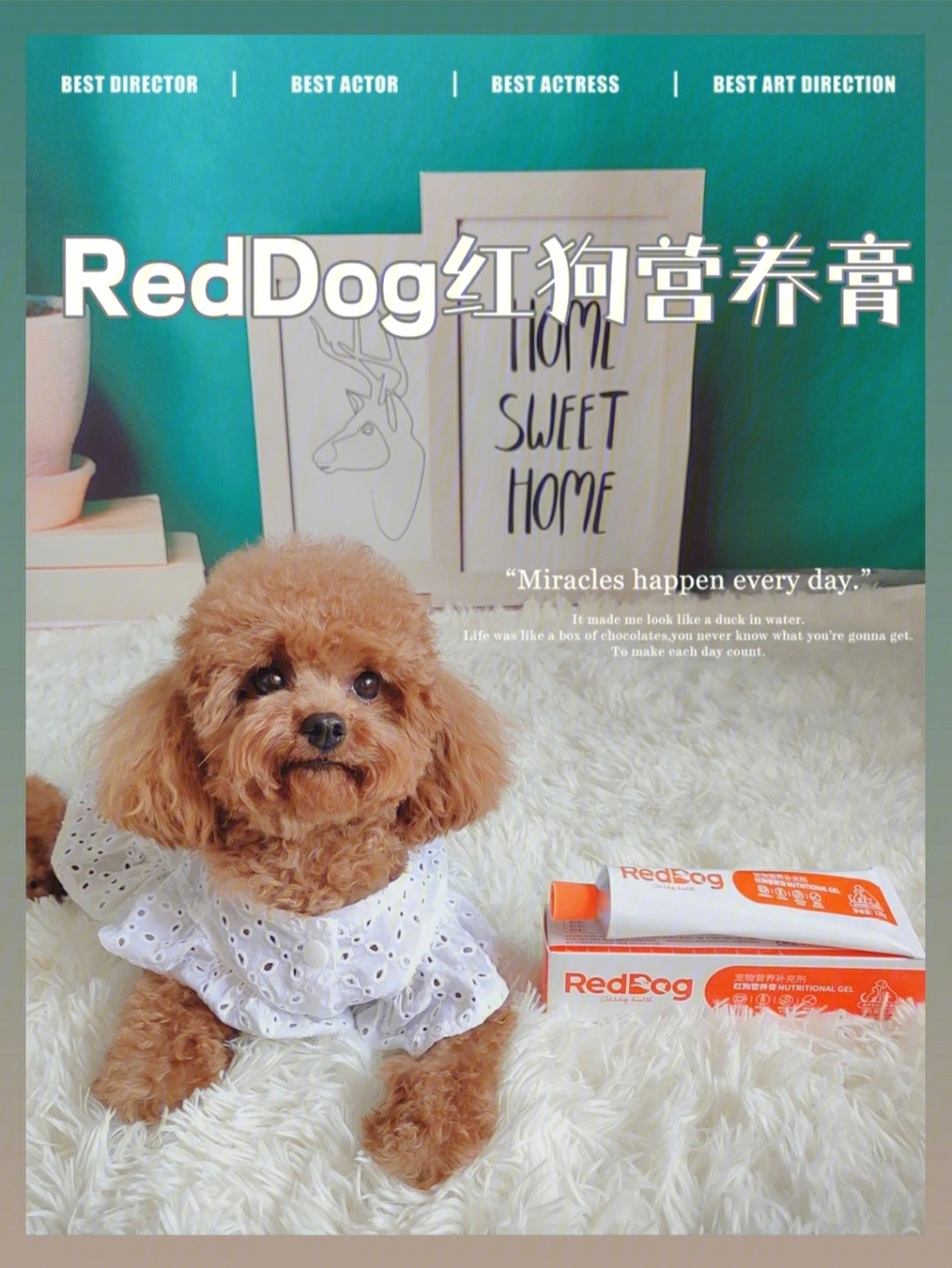 小幼犬生长必备reddog红狗营养膏