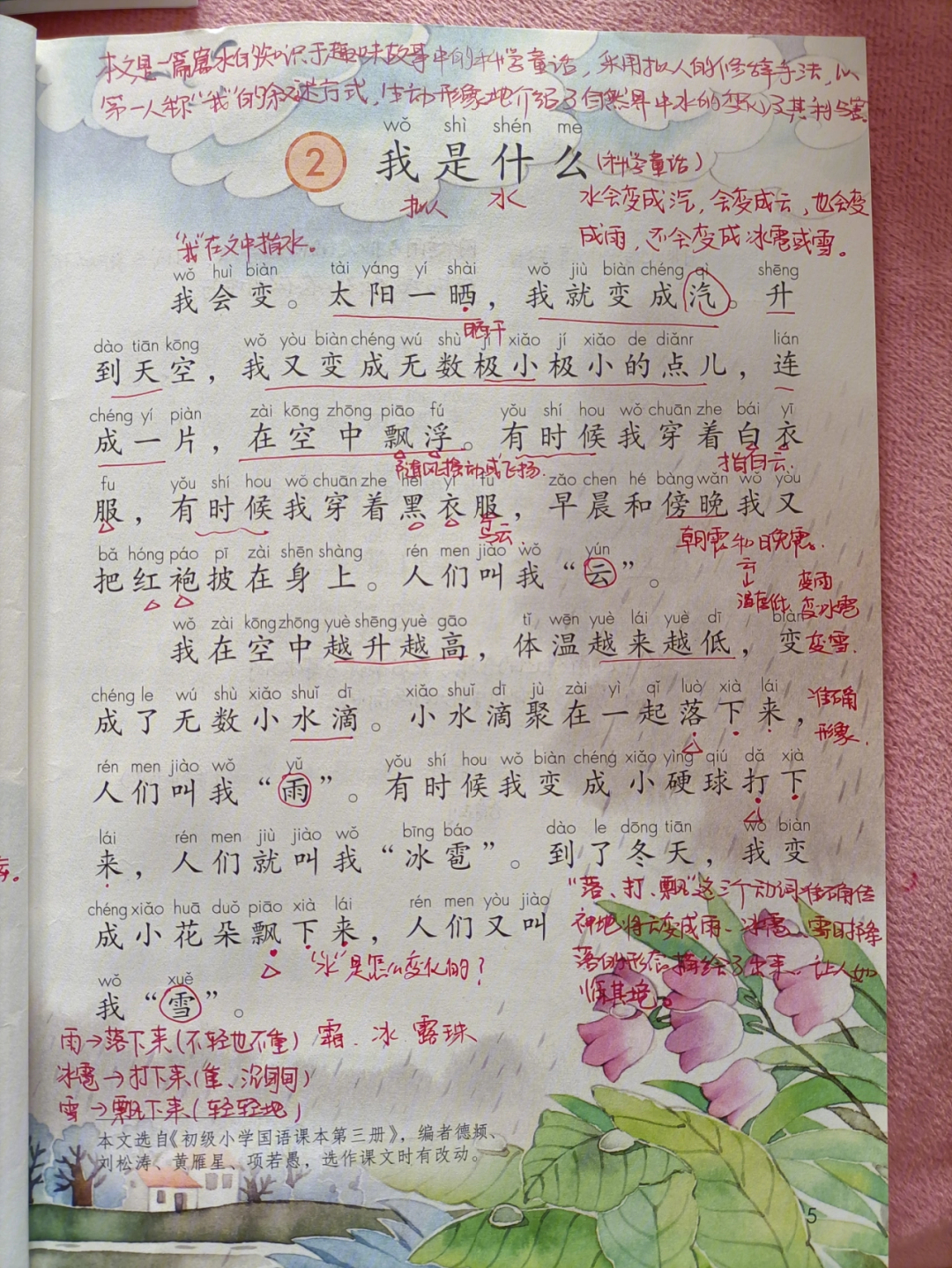 我是什么课文原文图片