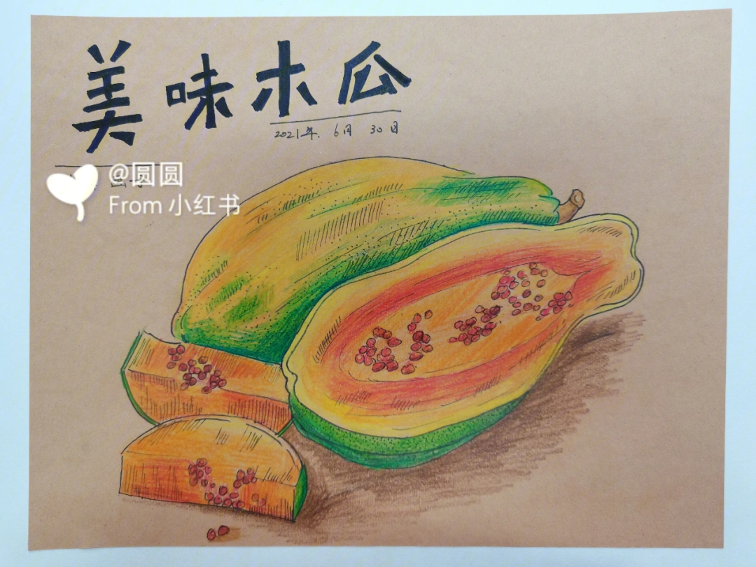 儿童画彩色线描木瓜