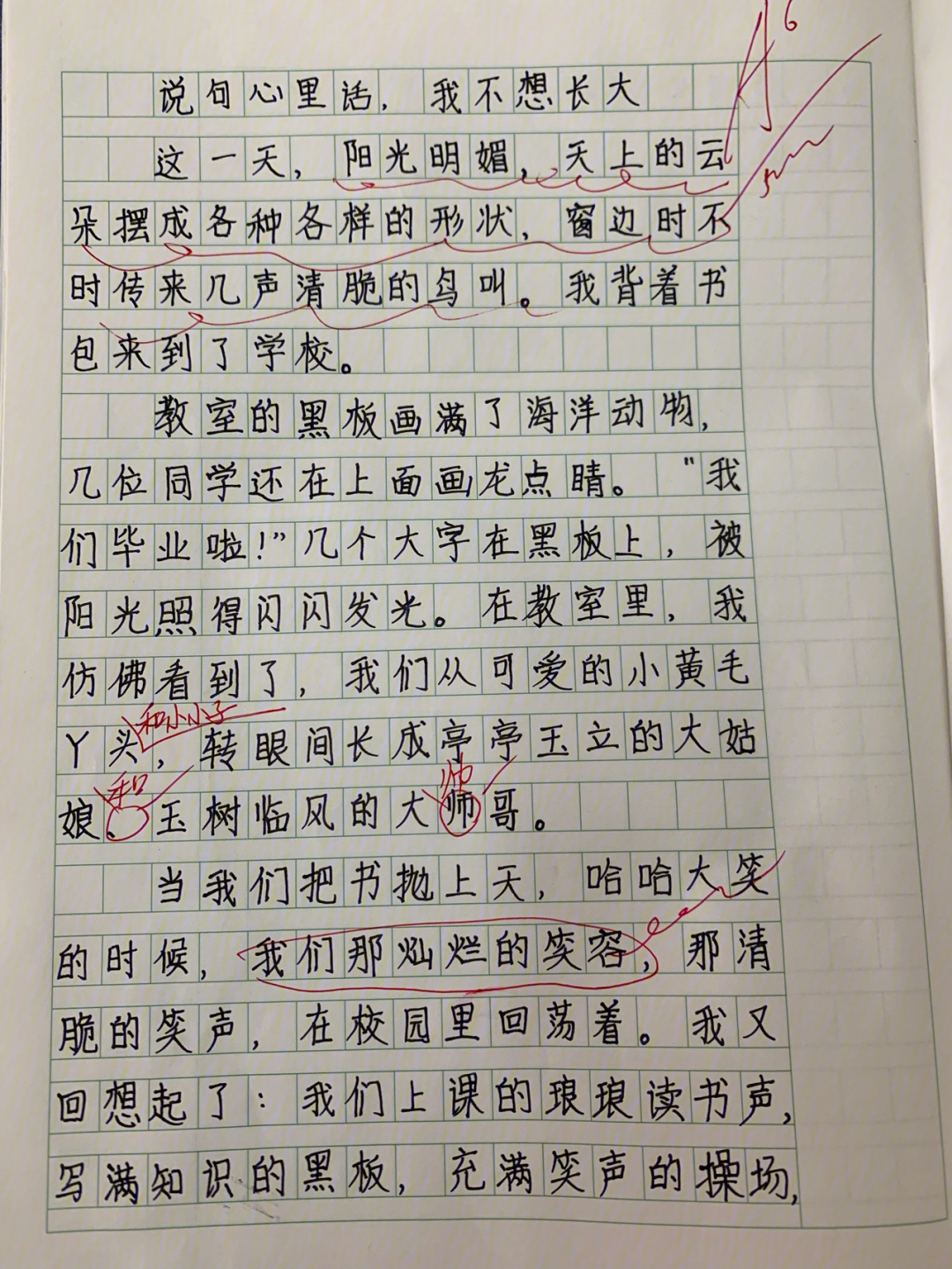 拍毕业照有感而发的作文