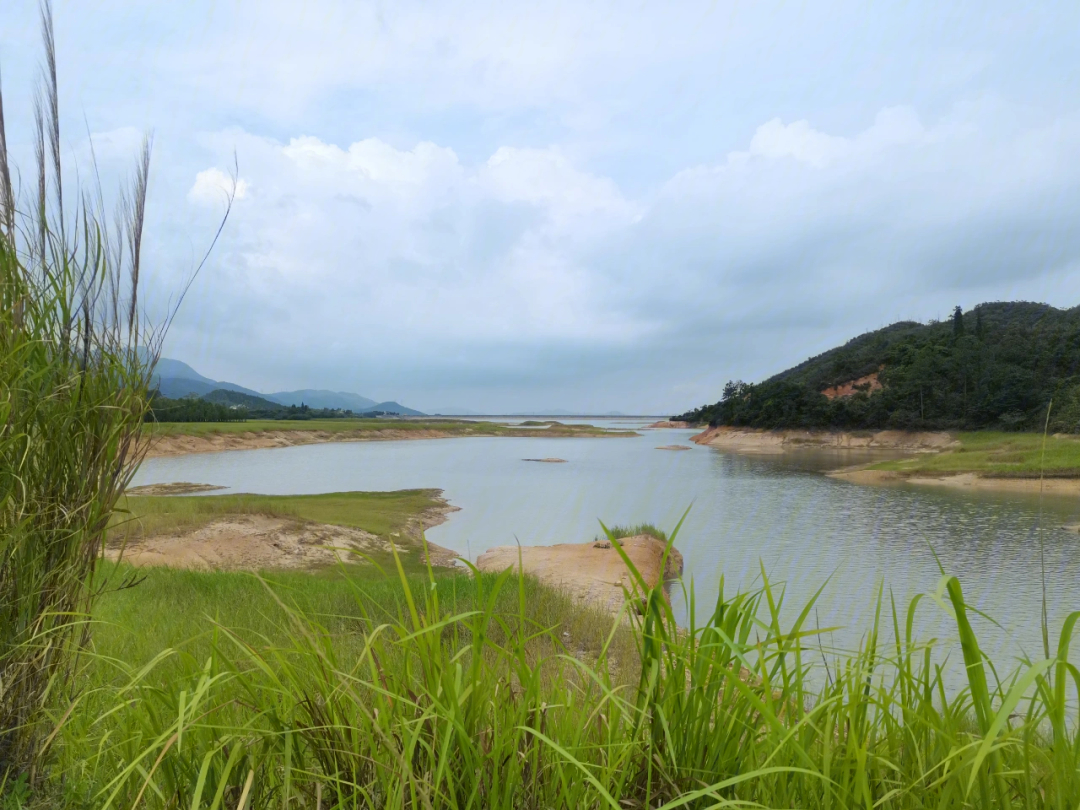 台山塘田水库图片