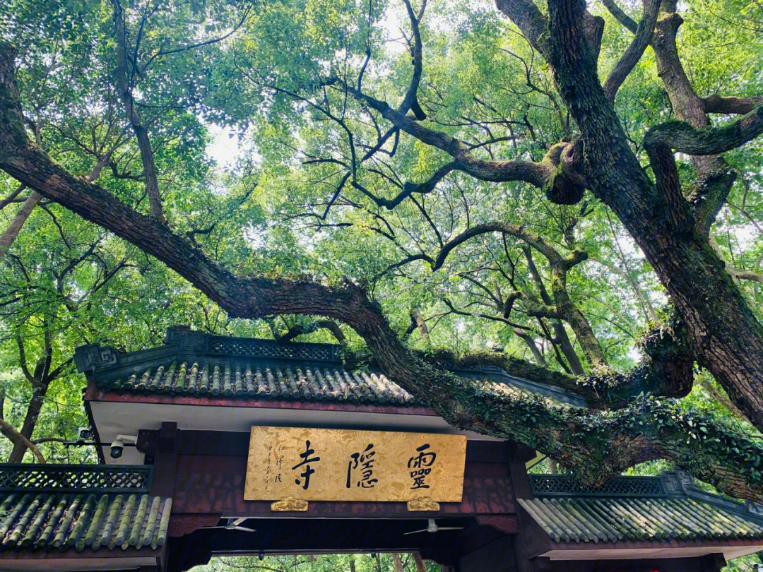 杭州旅游攻略到杭州怎么能不去灵隐寺呢最喜欢灵隐寺的一句导语:人生