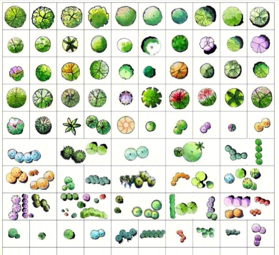 常见植物平面图例手绘图片