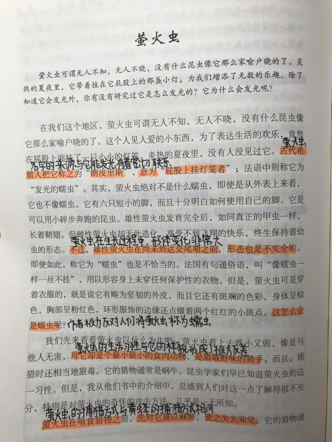 昆虫记圣甲虫批注图片