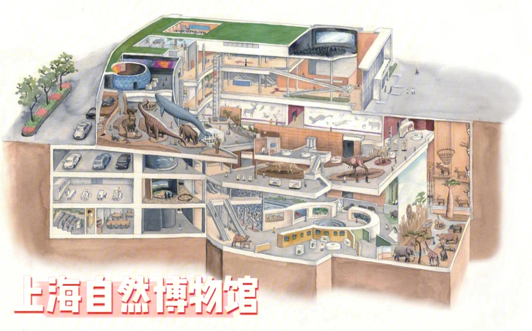 浙江自然博物馆平面图图片