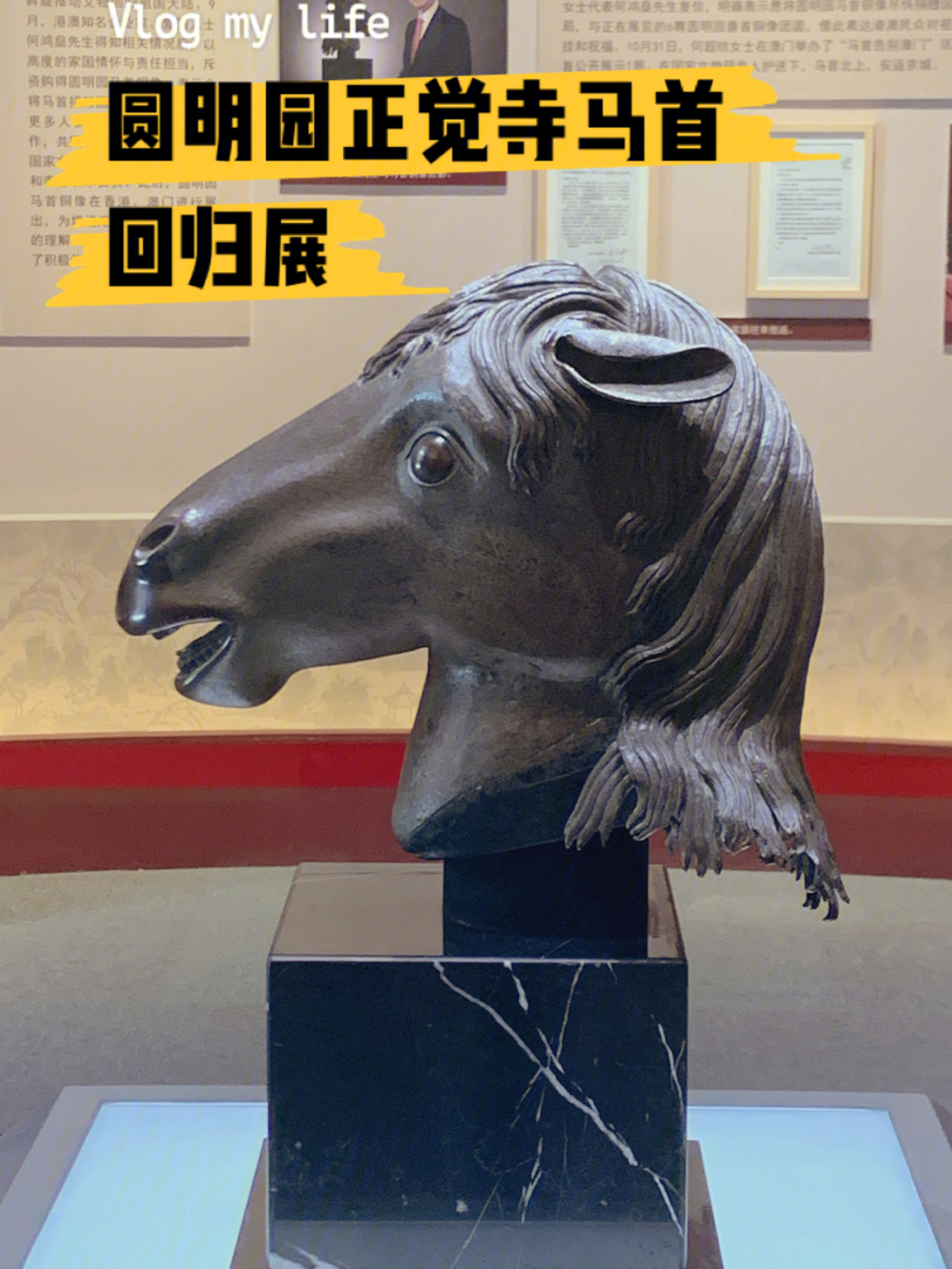 圆明园正觉寺马首回归展