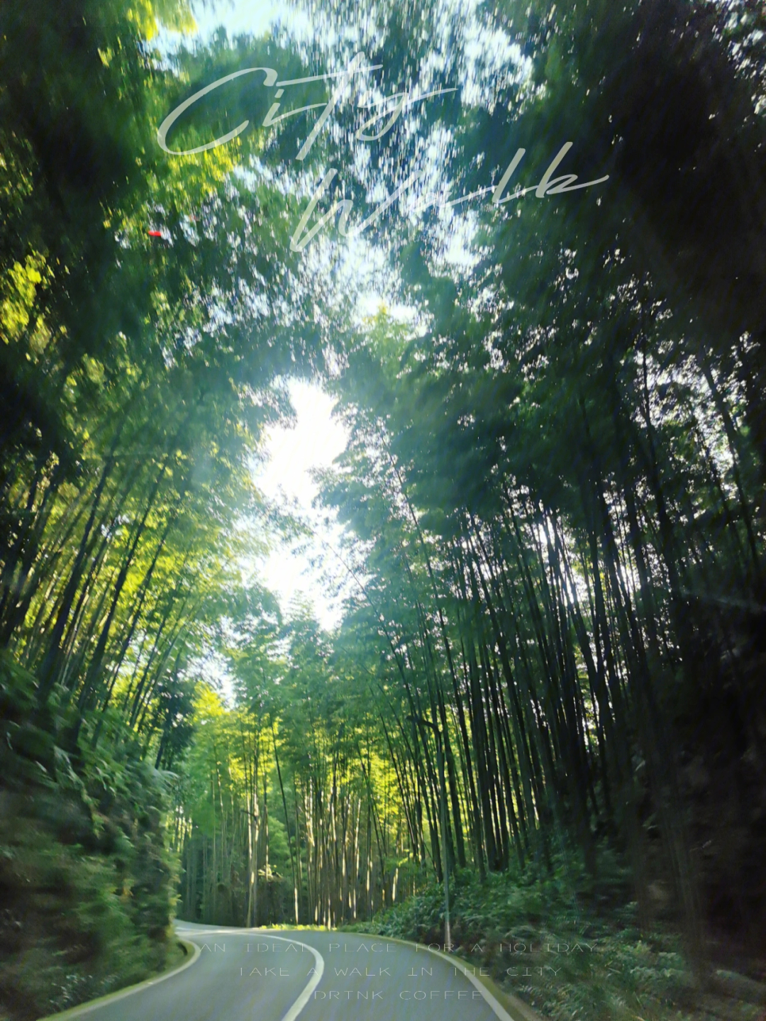 蜀南竹海风景区,听竹声,享受周末