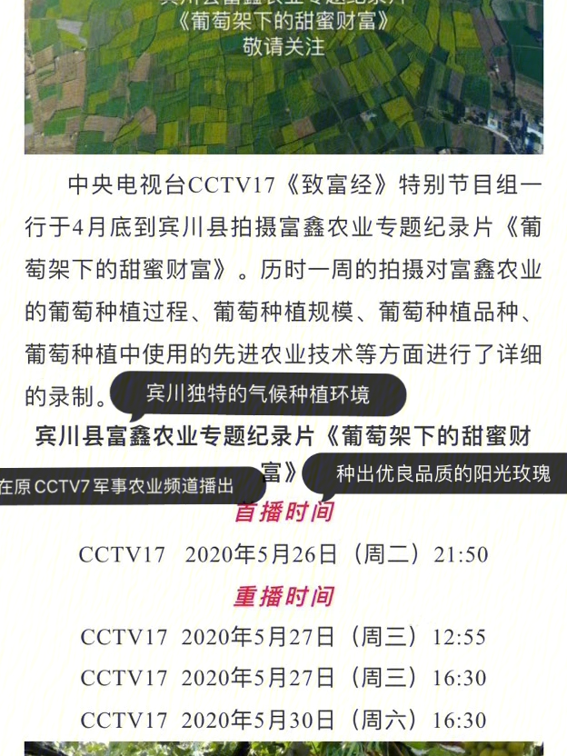 宾川独有的气候在央视cctv17致富经播出