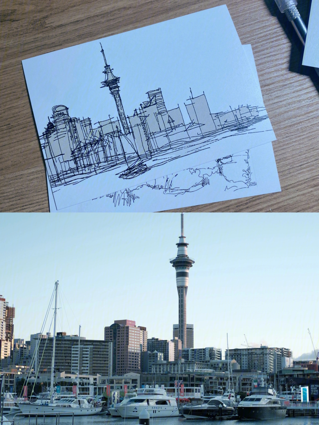 新西兰天空塔绘画图片
