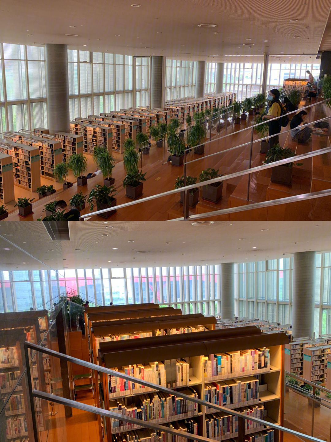 上海最大之浦东图书馆98!来了就别走了