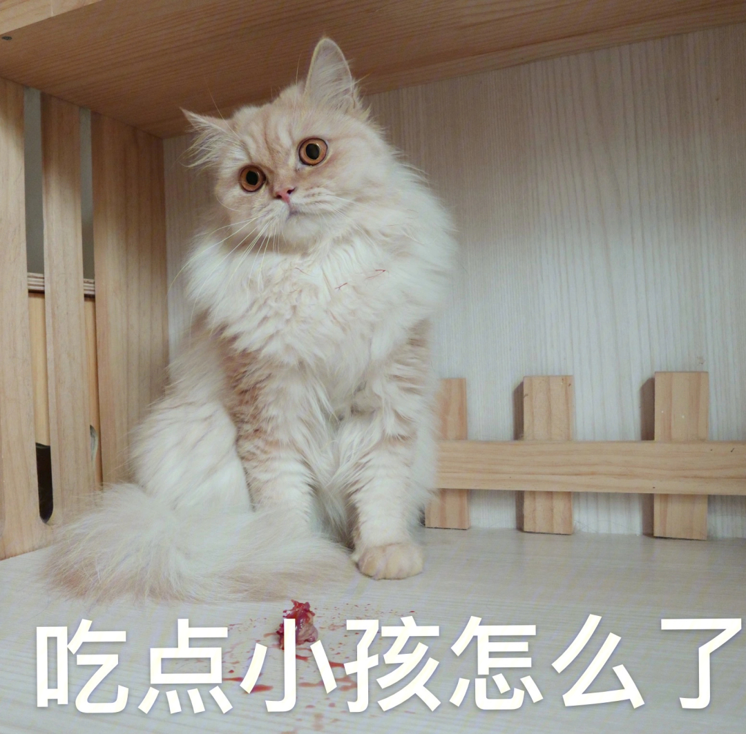 小猫咪吃小孩