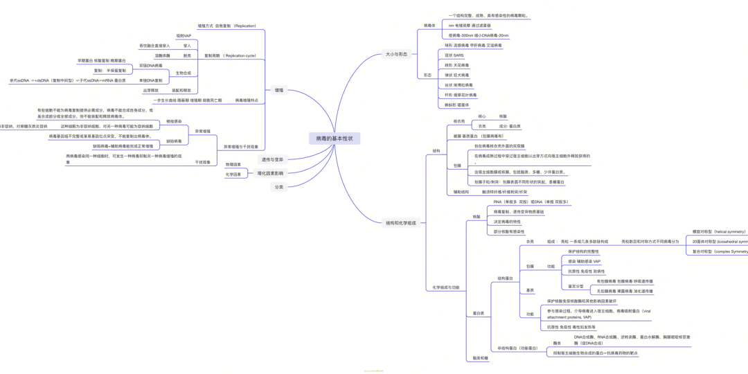 高一病毒思维导图图片
