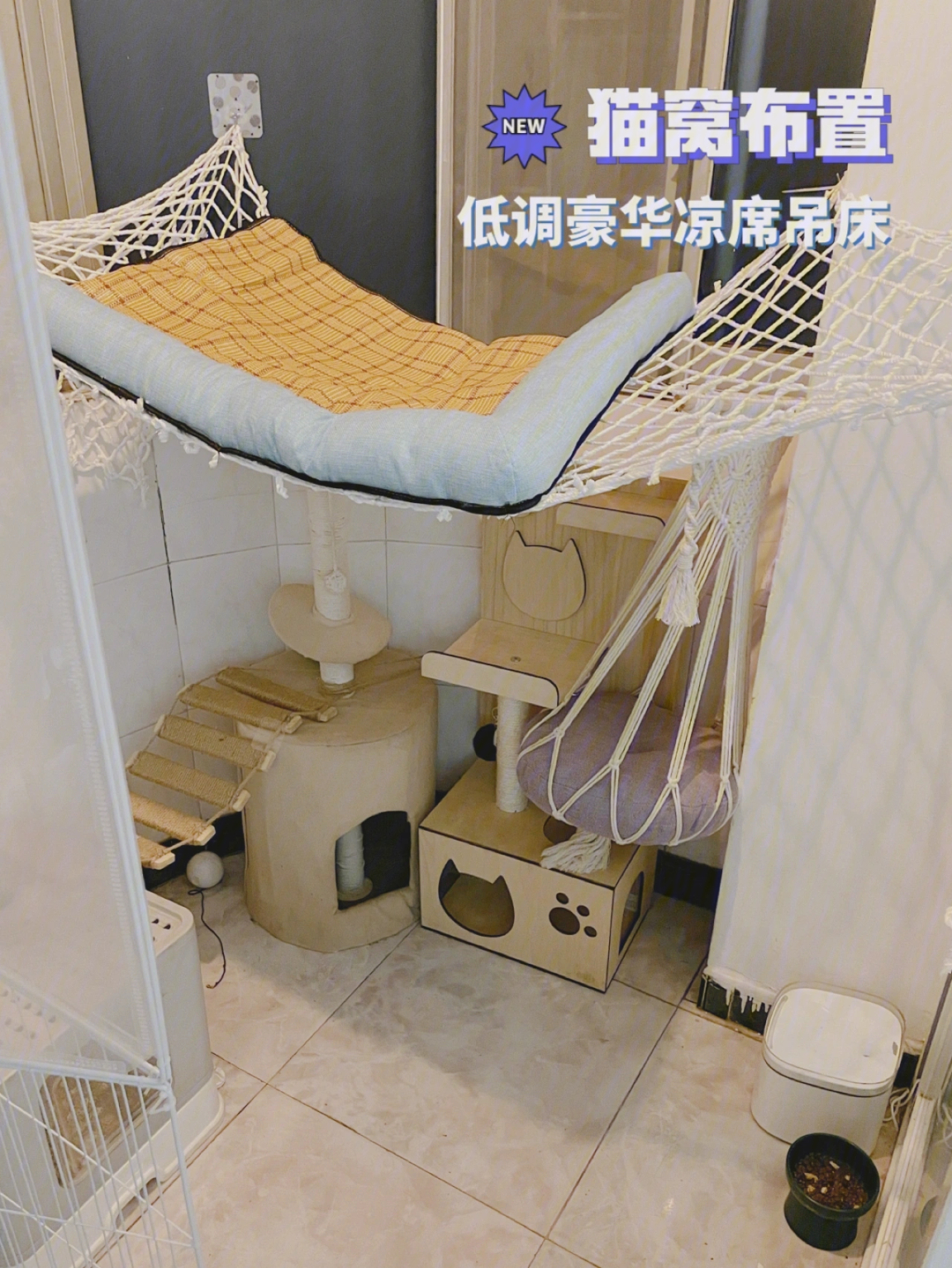 猫舍公寓民宿图片
