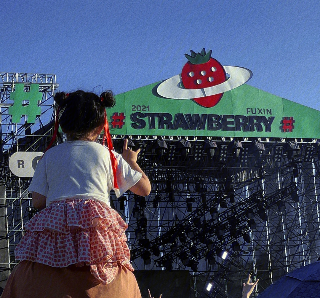 东营草莓音乐节图片