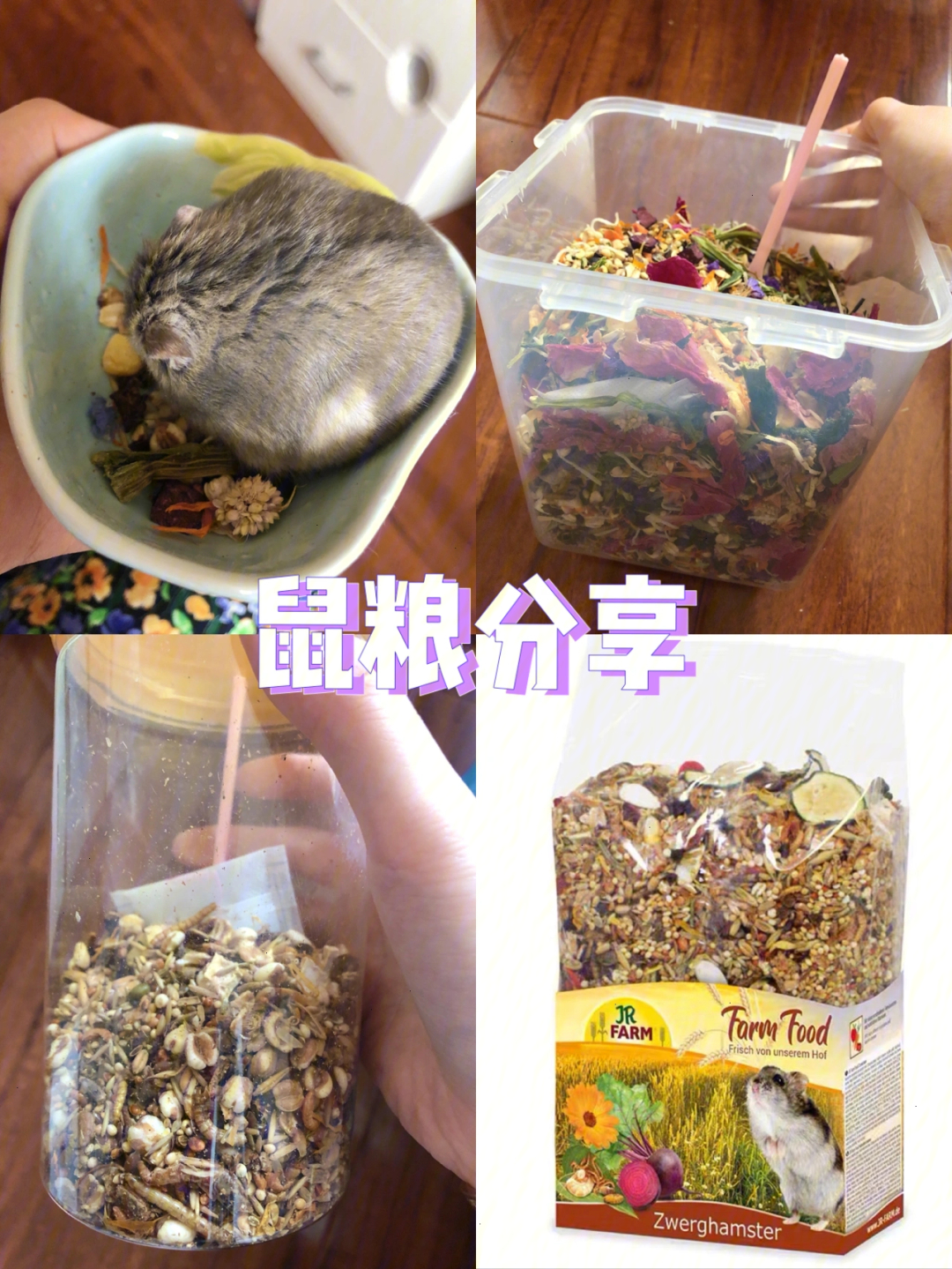 【仓鼠粮】【鼠粮】分享小仓鼠的粮食