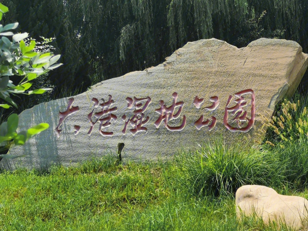 天津大港湿地公园图片图片