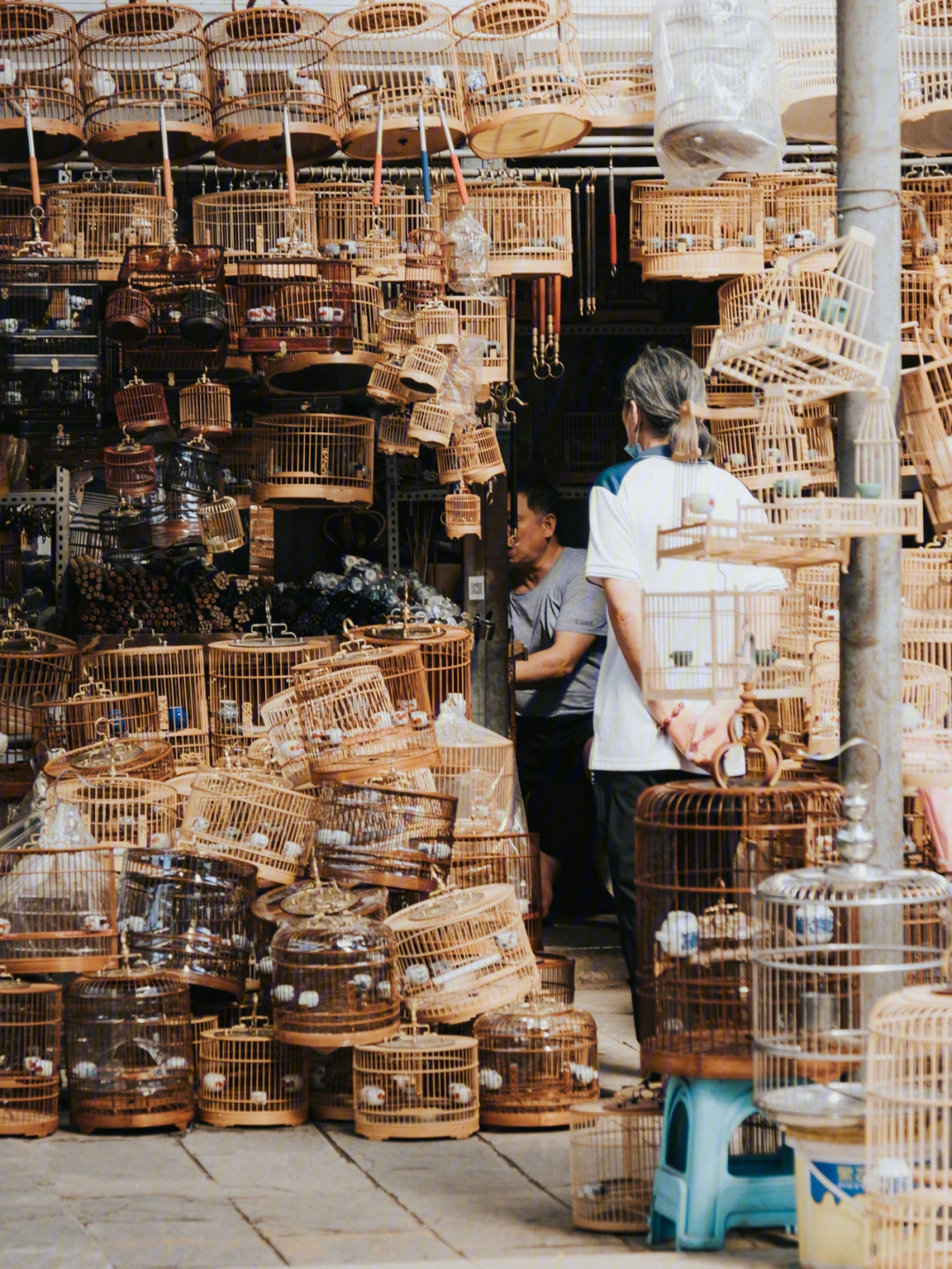 花鸟鱼虫市场北京图片