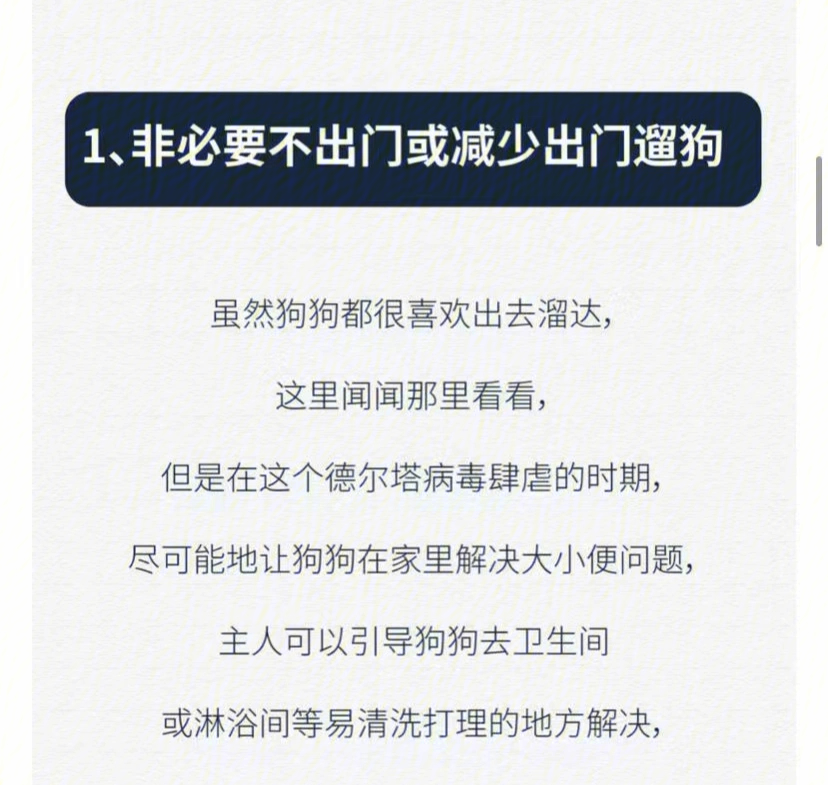 酒精,84一定不要在狗狗身上使用7515