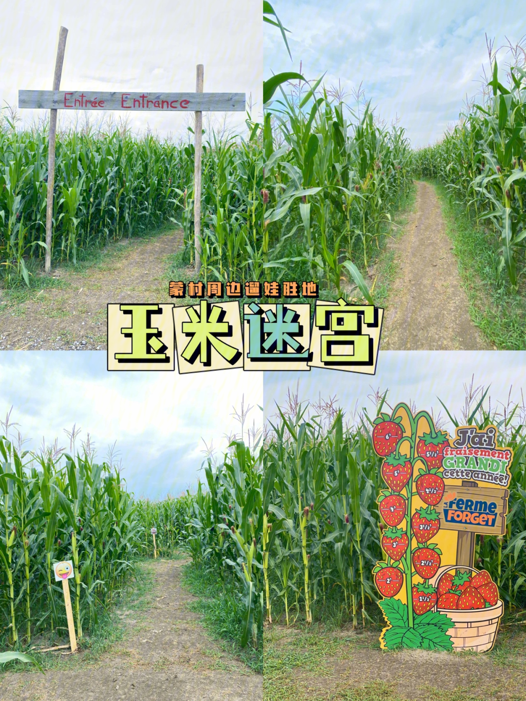 玉米迷宫平面图片