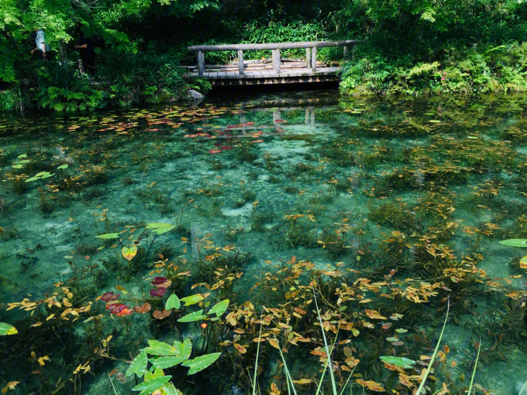 日本岐阜县莫奈之池图片