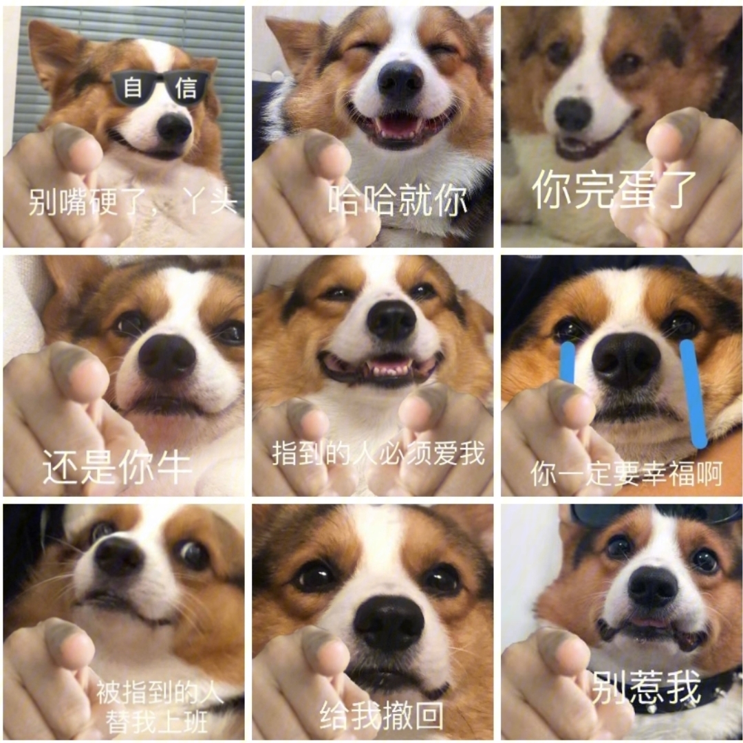 狗头指着你的表情包图片