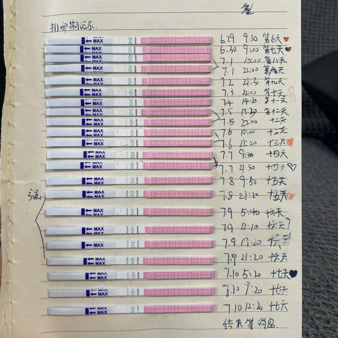 可丽蓝排卵试纸图解图片