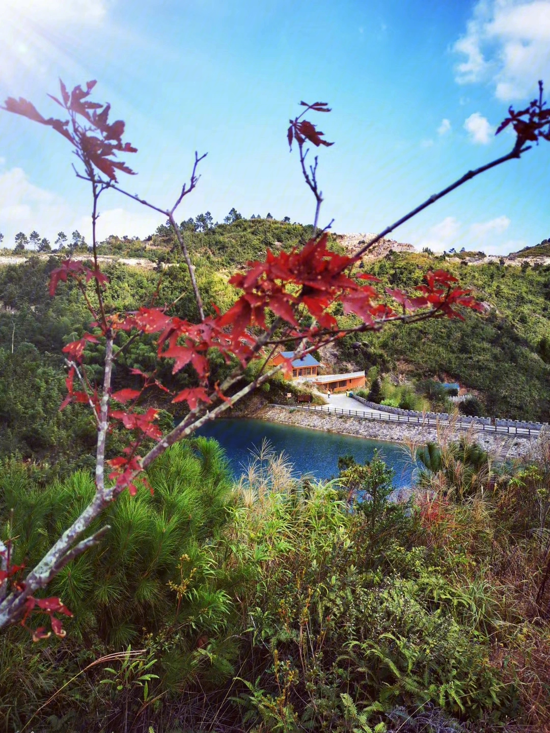 探访厦门市最偏远的村子,海拔近千米的高山军营村和云上白交祠.