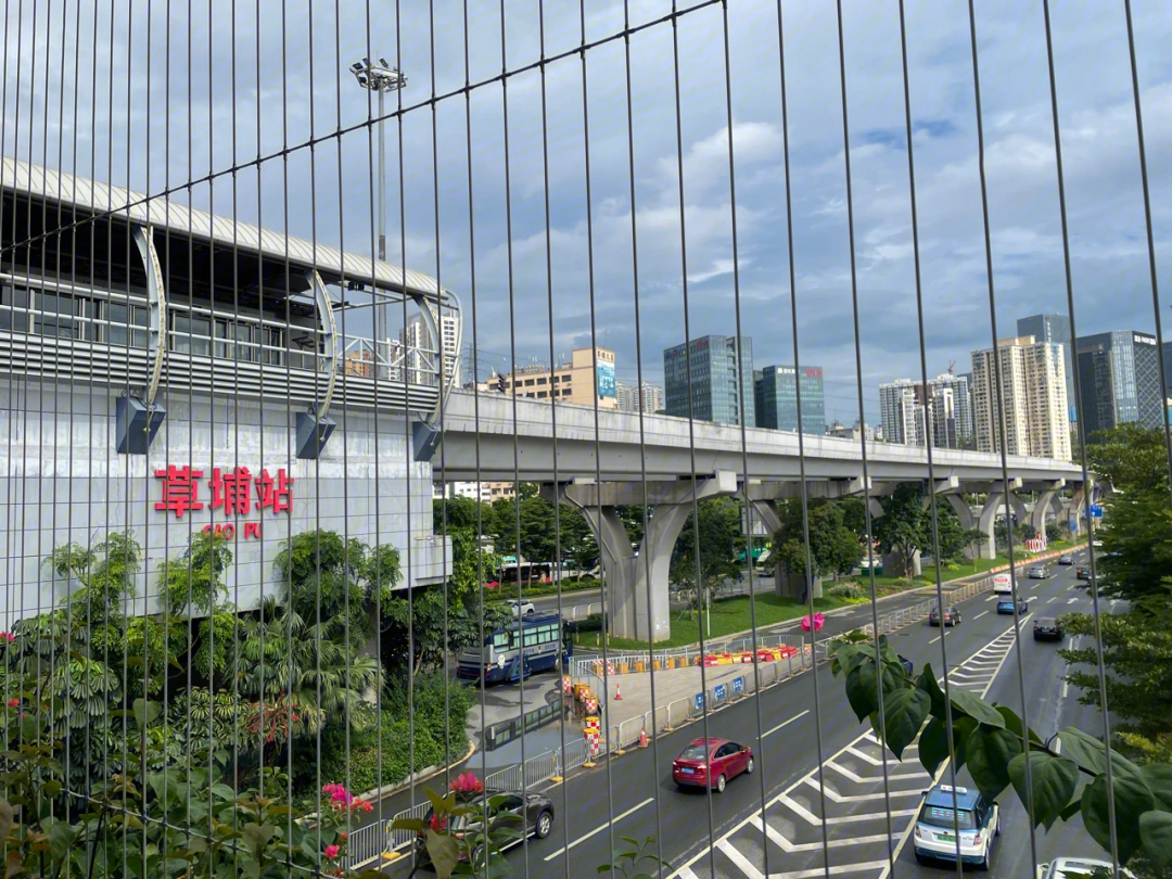 深圳市布吉草埔图片