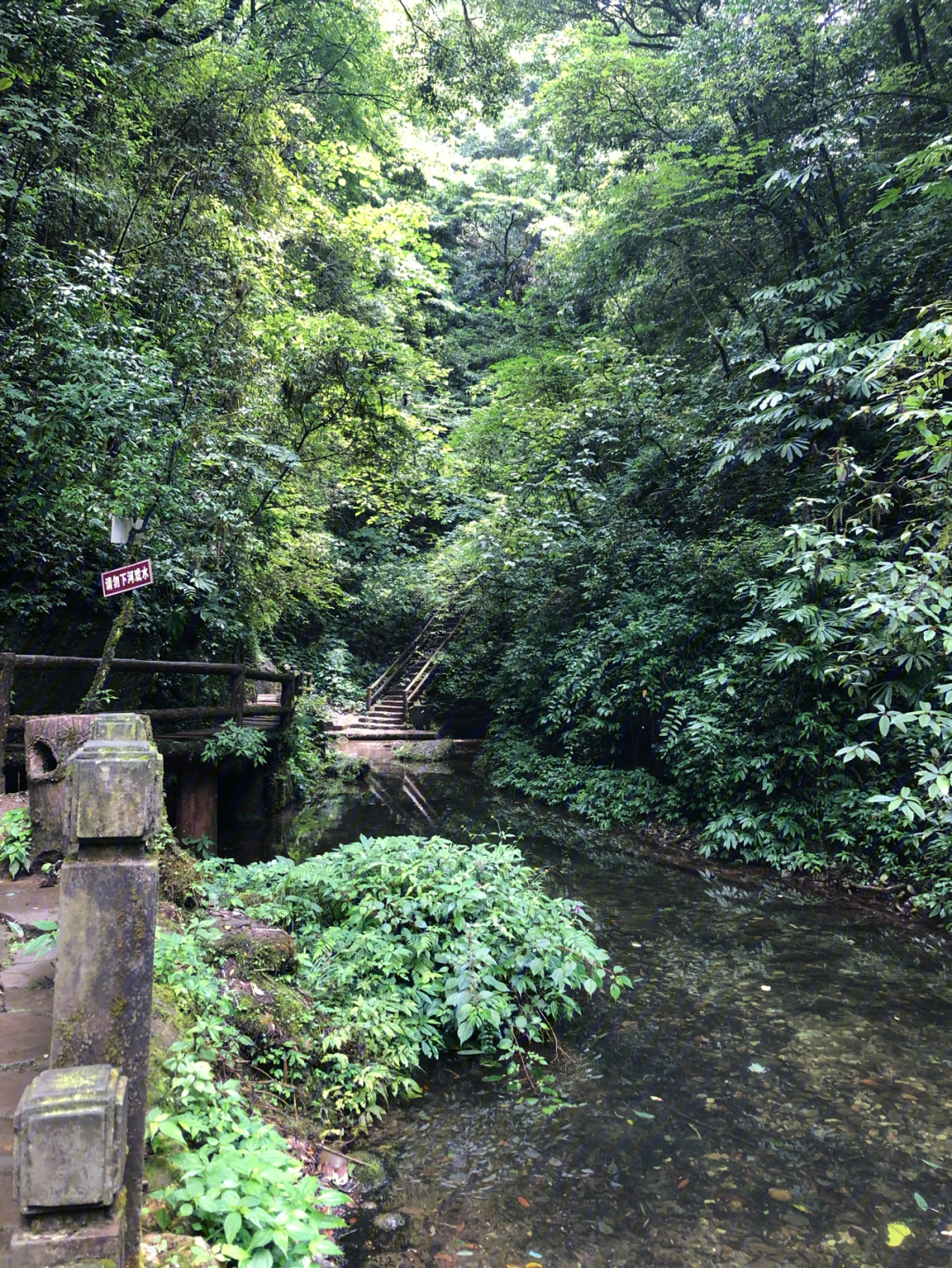 青城后山顶峰蓥华山图片