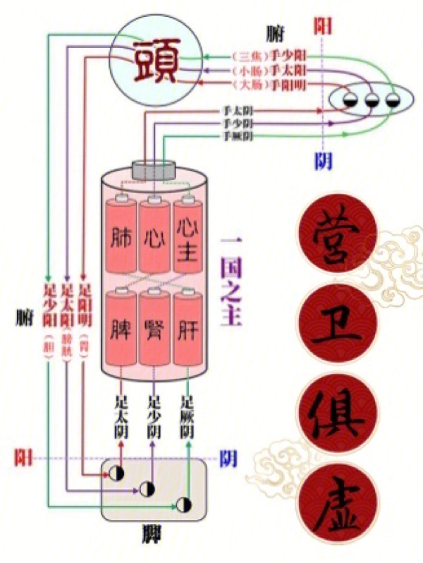 卫气循行路线图图片