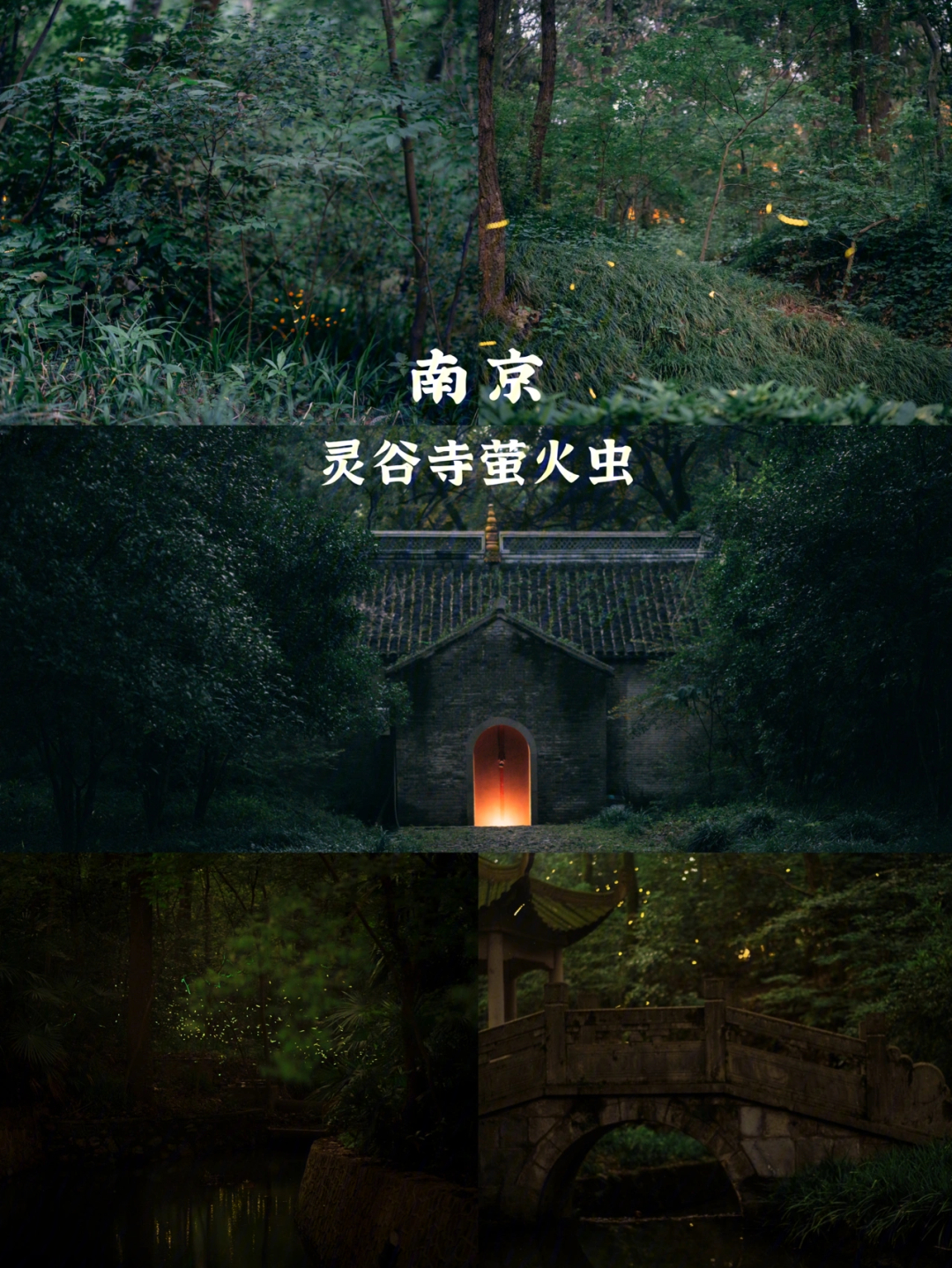 南京旅游灵谷寺萤火虫观赏攻略