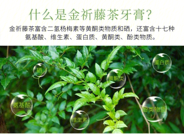 藤茶牙膏消炎杀菌止痒效果很好