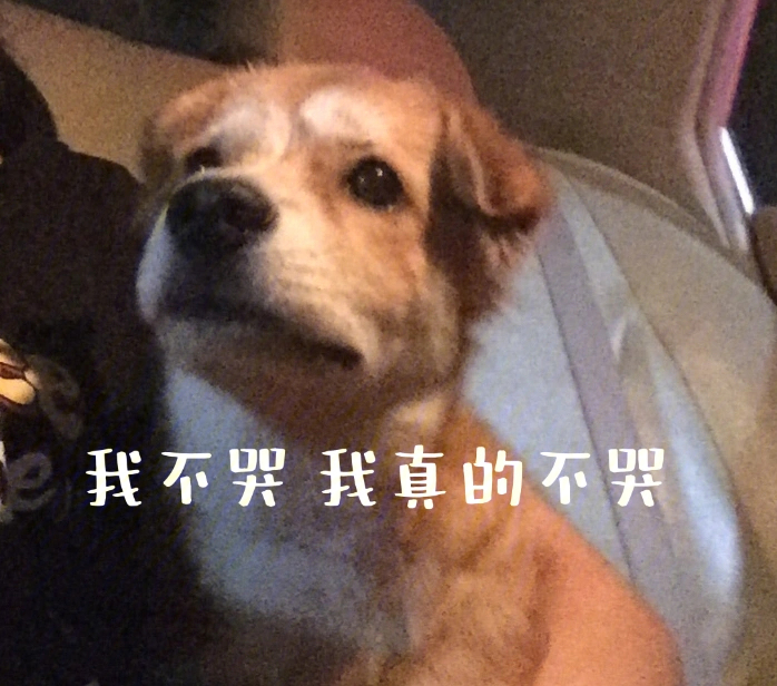 委屈表情包我不哭图片