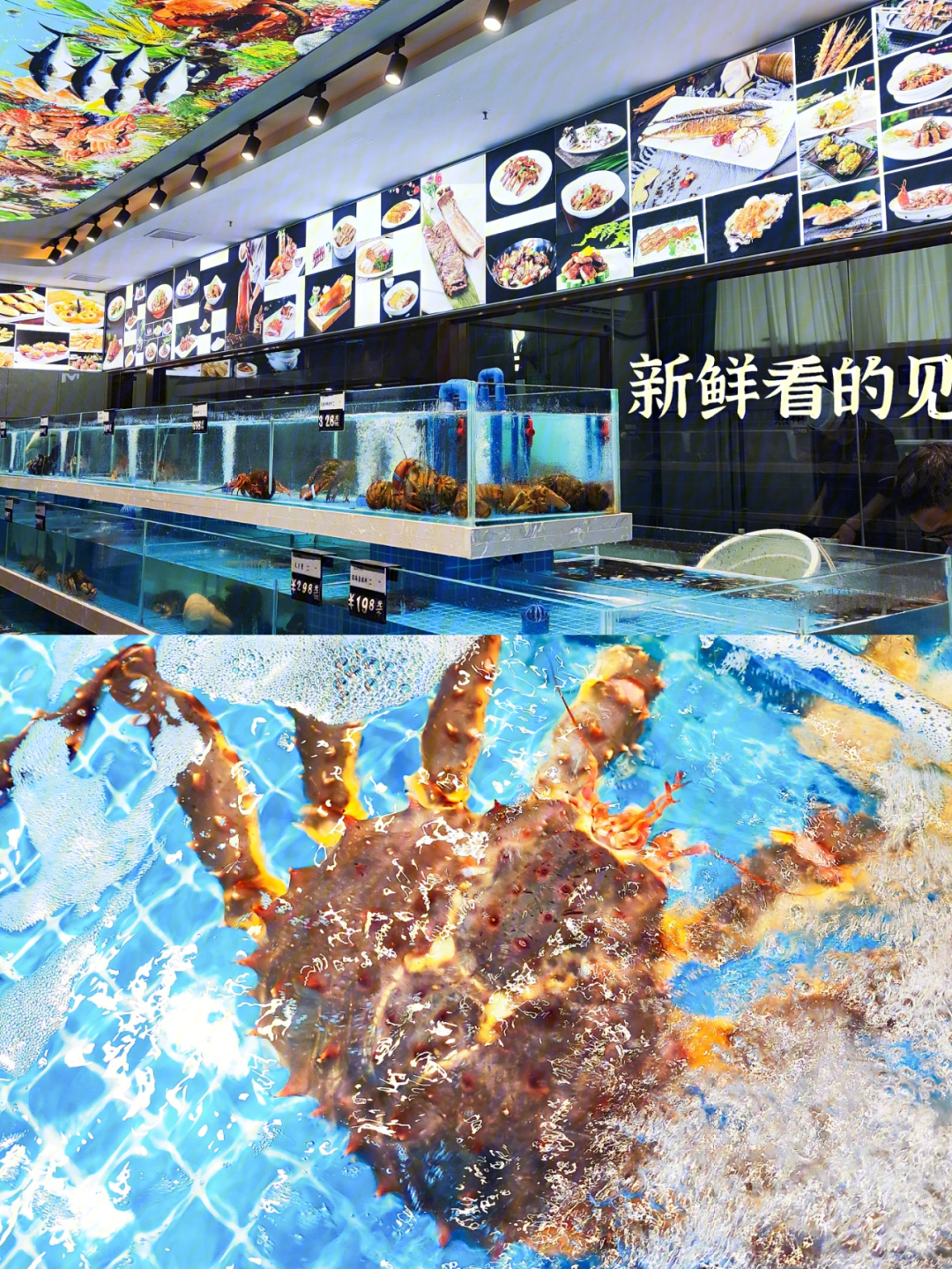 在郑州也能吃到超级正宗的海鲜大餐了