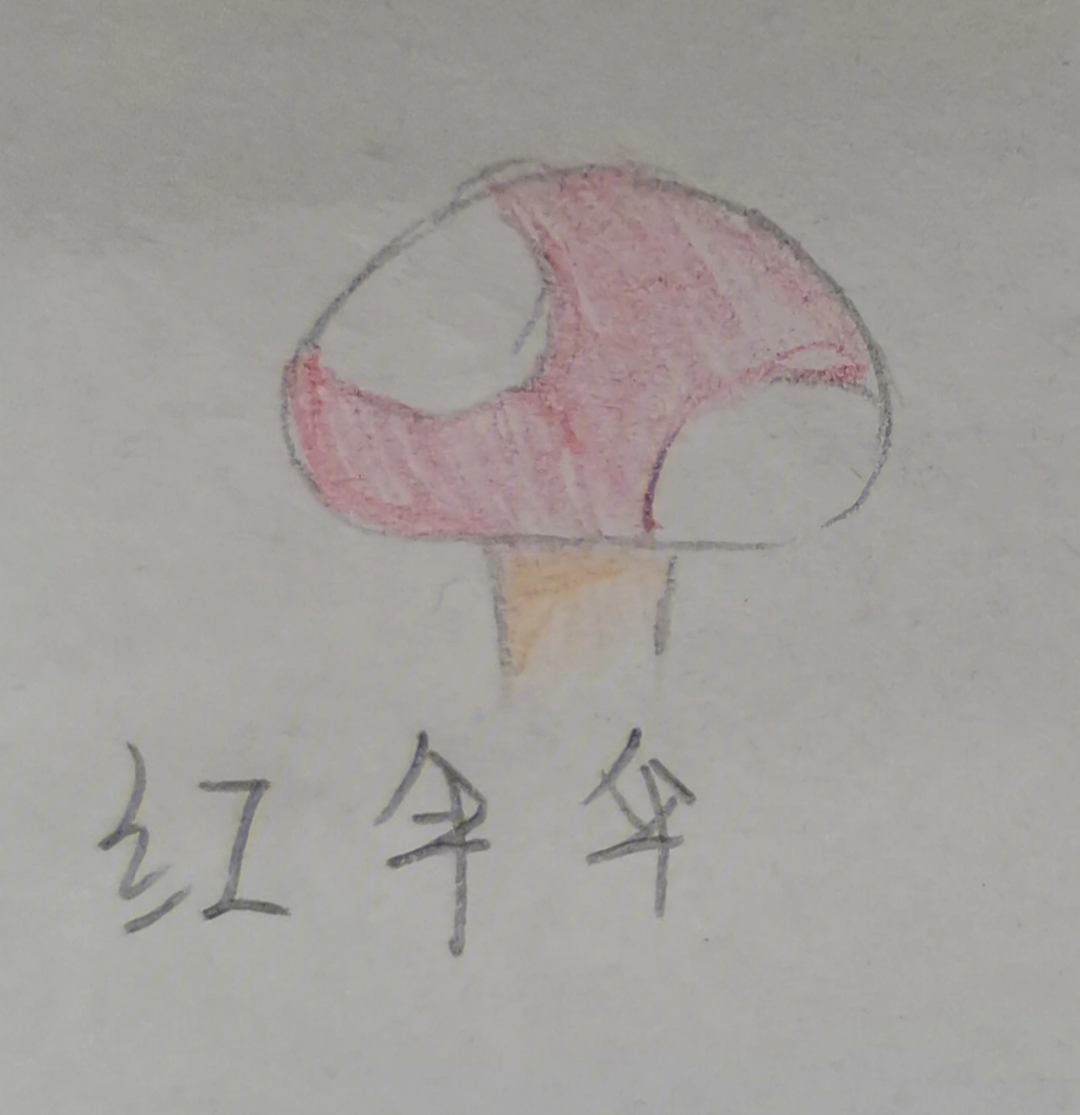 红伞伞 简谱图片