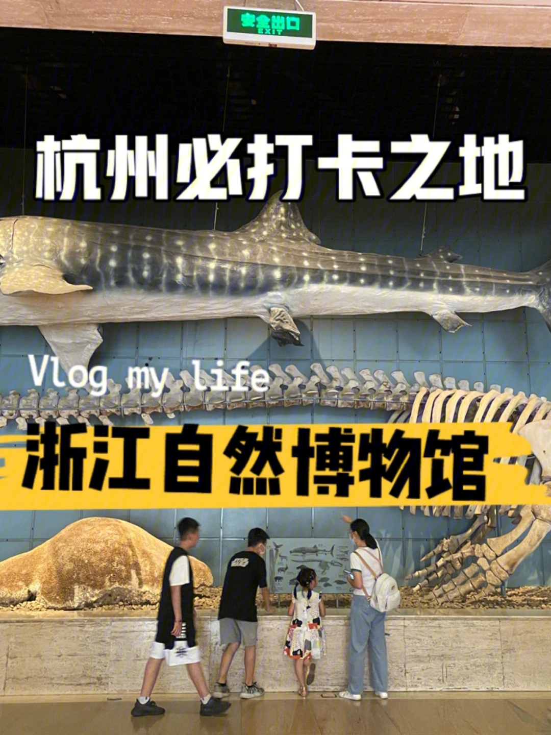 浙江自然博物馆门票图片