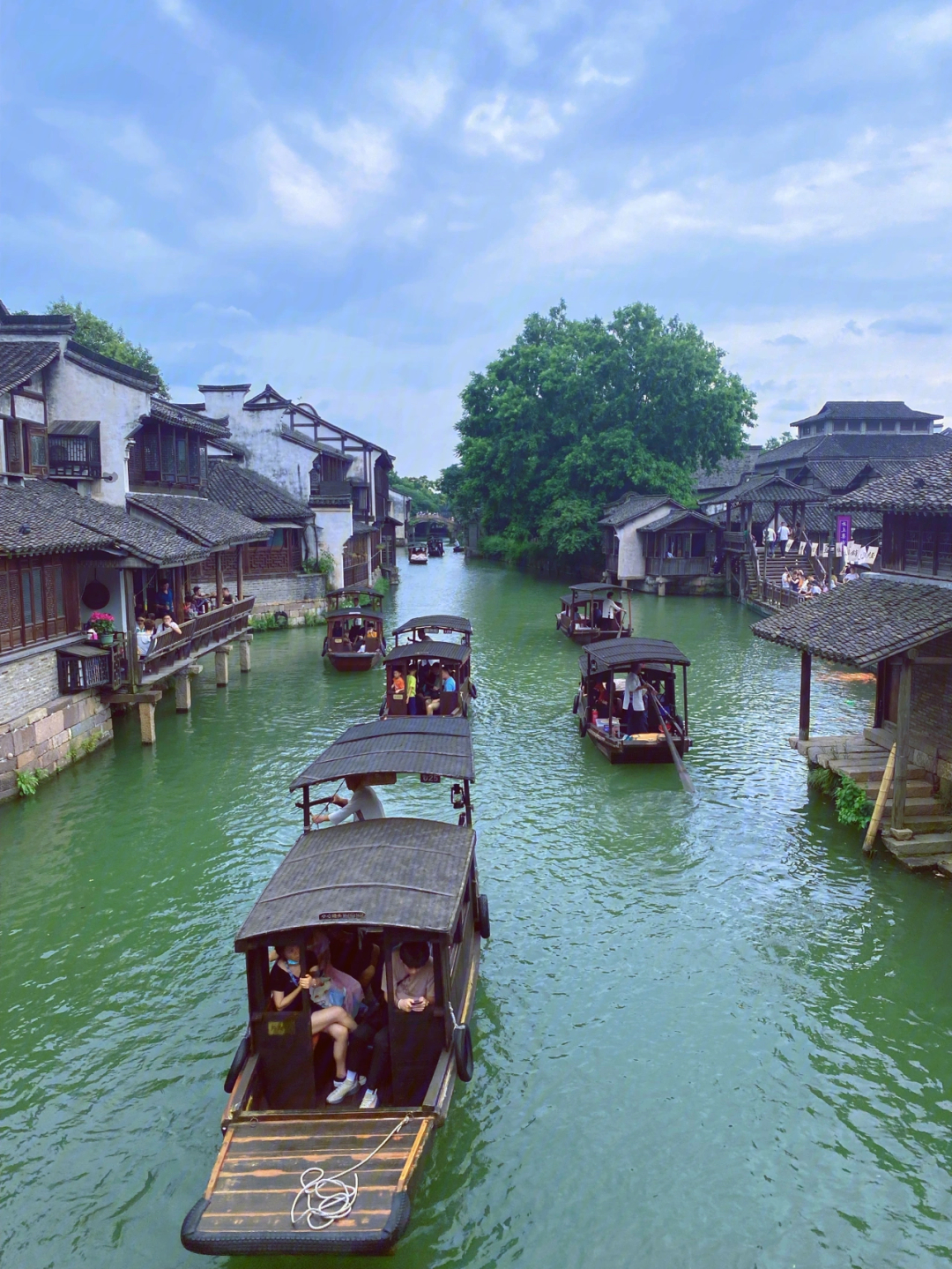 上海富婆乌镇图片