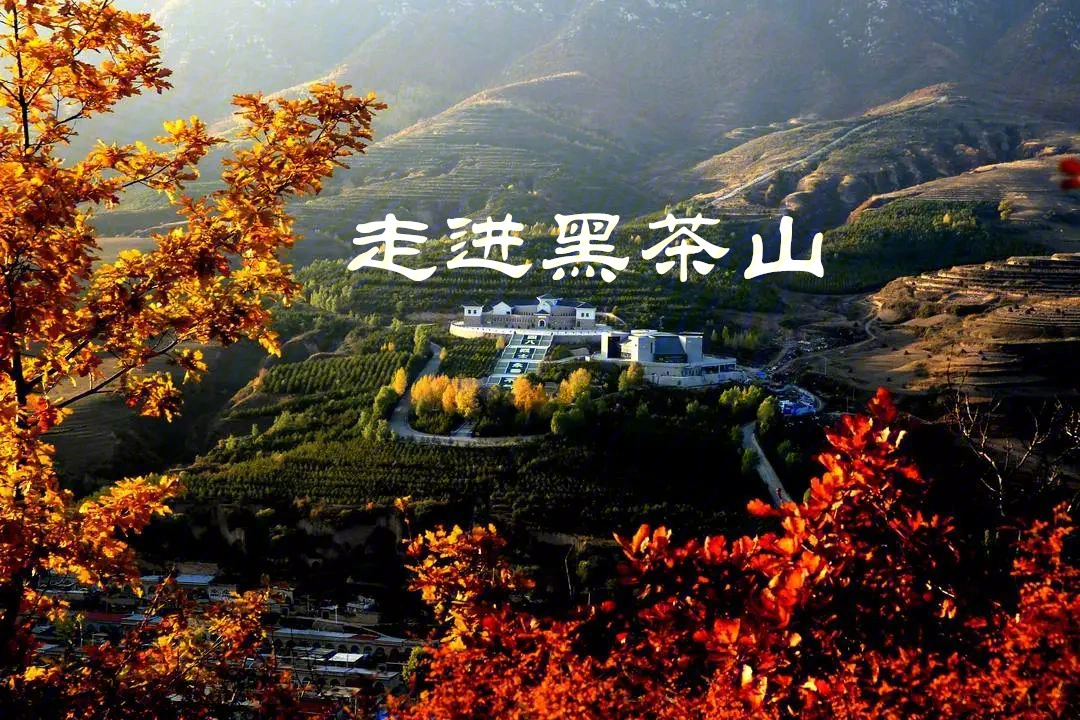 82158215黑茶山位于兴县东南,北倚岚县,东接方山,南与临县