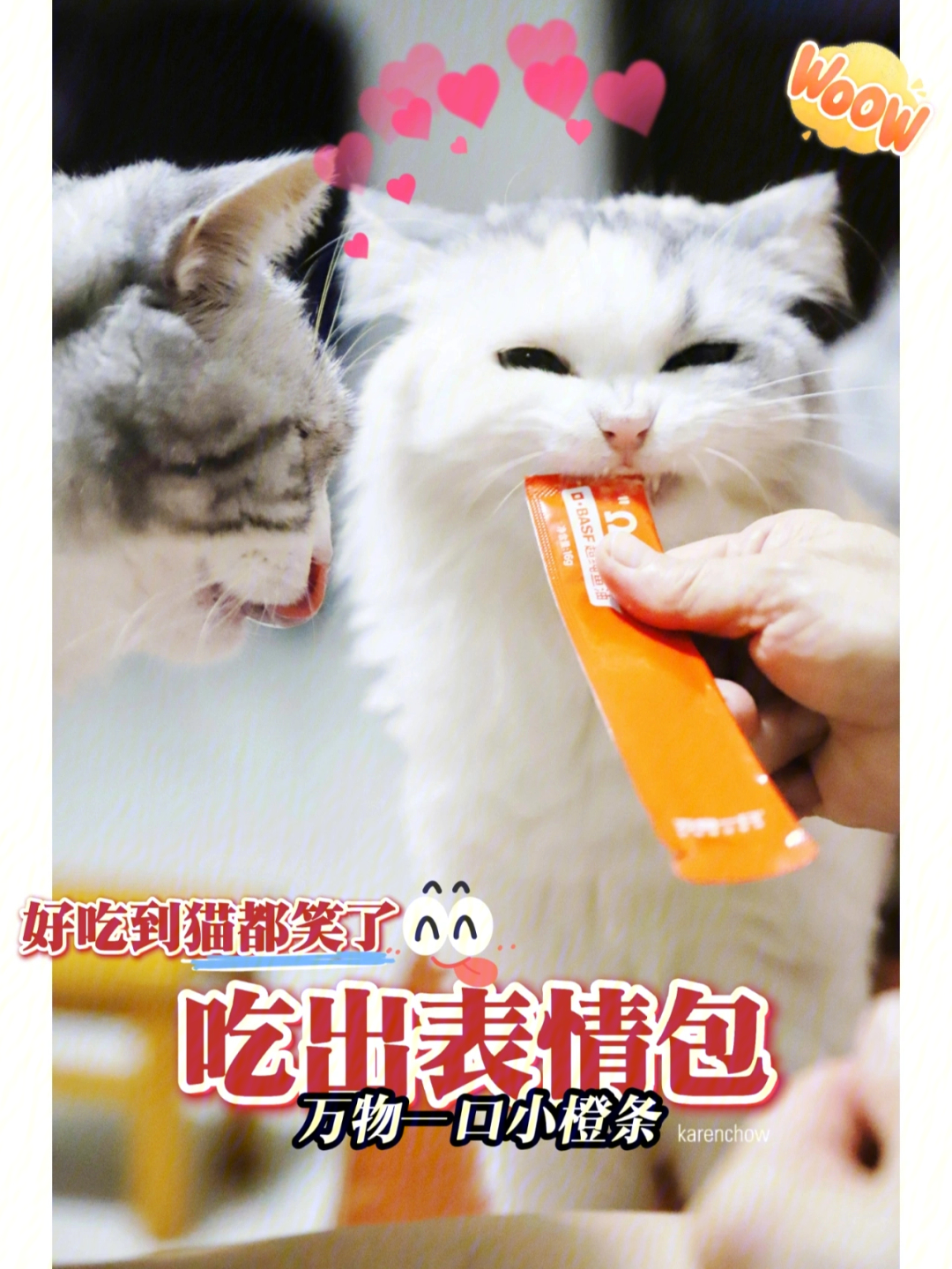 猫条条万物一口小橙条好吃到吃出表情包