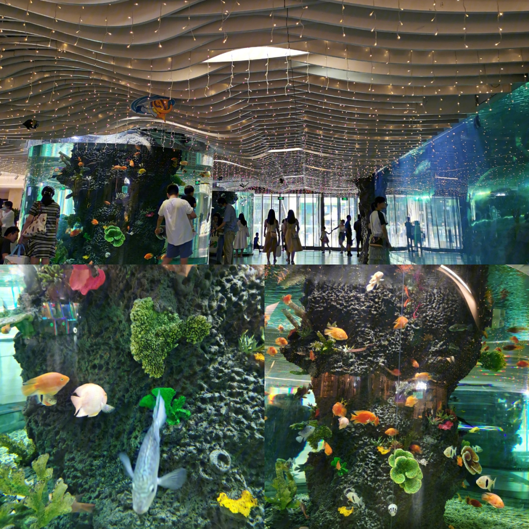 南京雨花客厅1楼小小海底世界