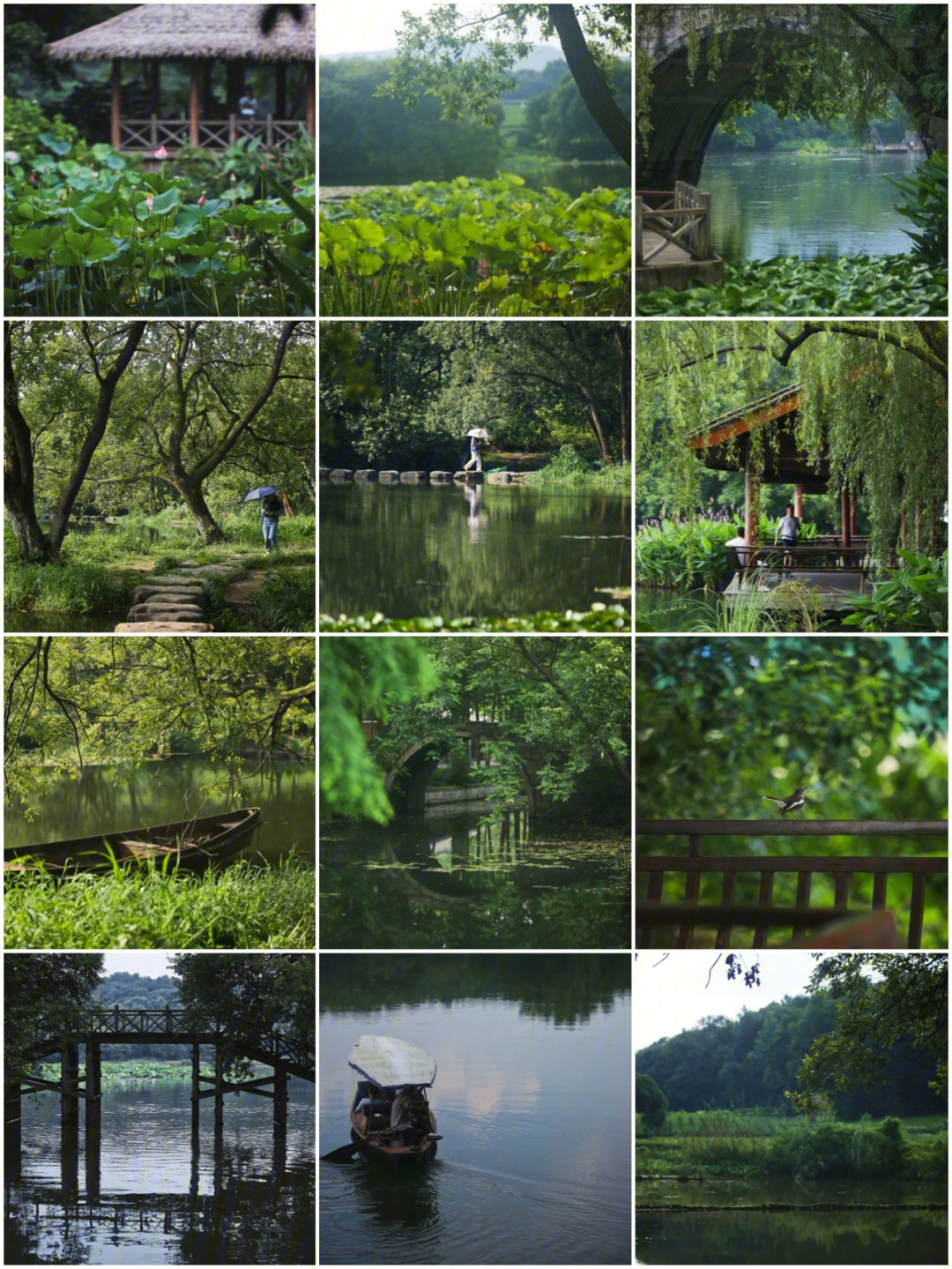 杭州小众夏日的上香古道一个人的西湖