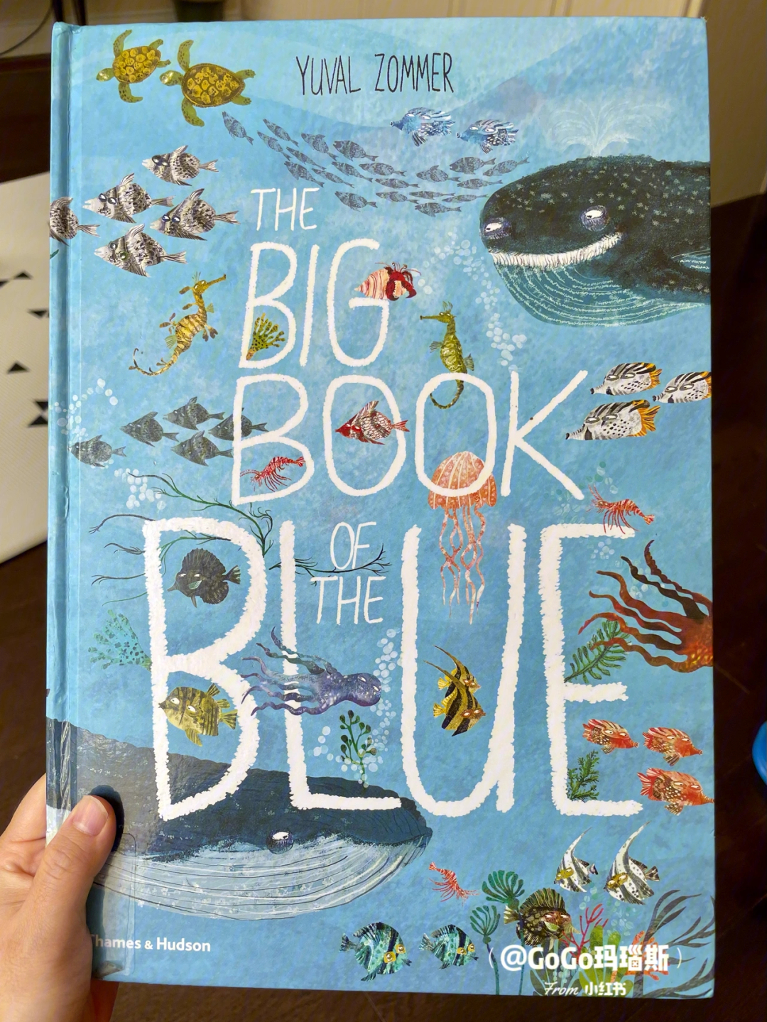 绘本thebigbookoftheblue