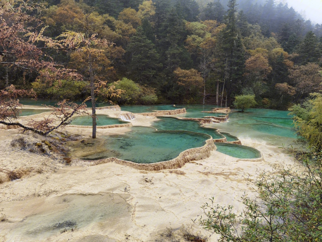 四川黄龙景区海拔多少图片